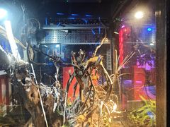 -贰麻酒馆(金山斗酒场店)