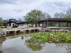 -上海滨江森林公园