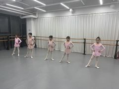 -中央芭蕾舞团·中芭艺蕾(酒仙桥明星校区)