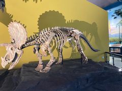 -湖南省地质博物馆