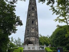 -上海佘山国家森林公园天马山园