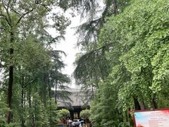 -青羊宫