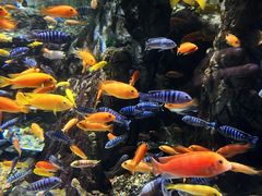 -太平洋海底世界