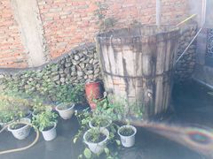 -璞真扎染博物馆