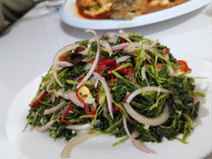 -煲来饱去冷水鱼