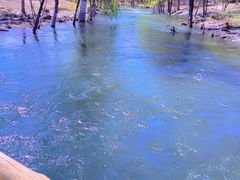 -永定河休闲森林公园