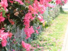 -福田红树林生态公园