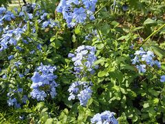 -东华门大街小区