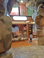 -卡通尼·Safari非洲探索乐园·生日会(金桥国际商业广场店)