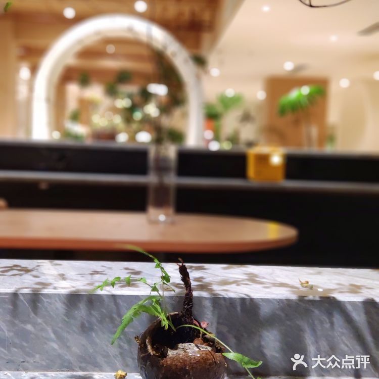 深圳探店|宝安的素食餐厅