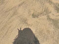 -东海半边山旅游度假区