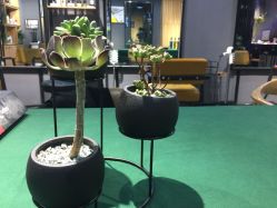 -MOVAN  HAIR莫凡匠人发型屋