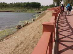 -丁香湖公园