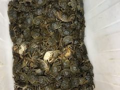 -仙螺岛海鲜自助餐厅(总店)