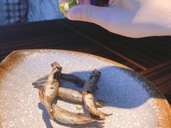 -山葵家·创意料理(EFC欧美广场店)
