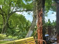 -东莞植物园