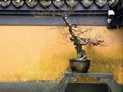 -慧因高丽寺