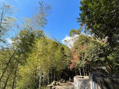 -千泷沟大瀑布旅游区
