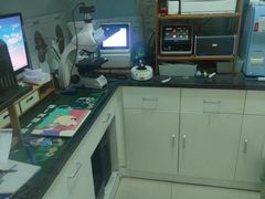 -爱贝特动物医院·猫口炎专科