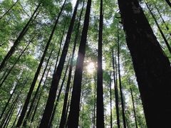-山王坪喀斯特国家生态公园