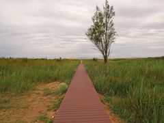 -亿利库布其七星湖沙漠生态旅游区