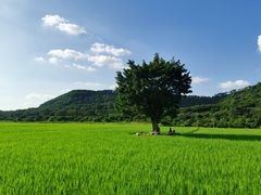 -风云岭森林公园