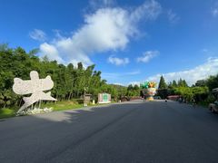 -黄海国家森林公园