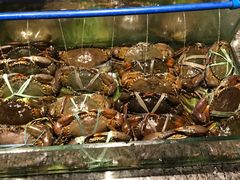 -Isla Sugbu Seafood City