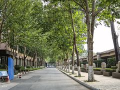 -春晖园度假酒店温泉