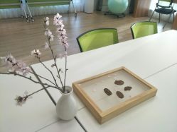 -来康月子中心