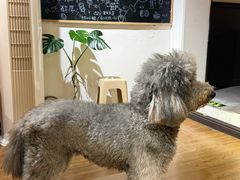 -沏点Trattoria意大利餐厅(新街口店)