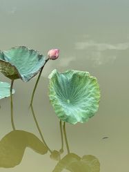 -番禺儿童公园