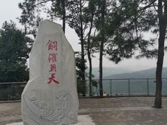 -铁山坪森林公园