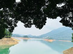 -广州市流溪河国家森林公园