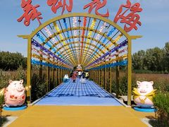 -金塔沙漠胡杨林景区