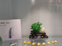 -海之声助听器佛山旗舰店(华麟大厦店)