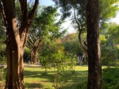 -深圳国际园林花卉博览园