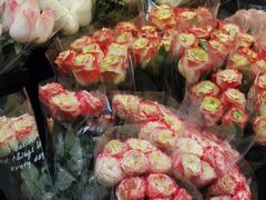 -循礼门鲜花花市(武汉循礼门店)