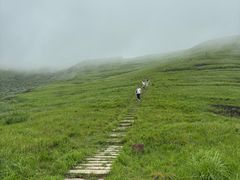 -嵛山岛