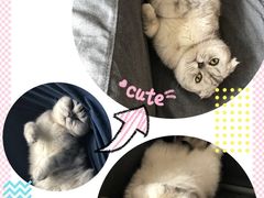 -猫音日语留学培训