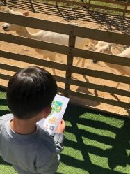 -萌宠亲子动物乐园(槐房万达店)