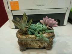 -北方图书城(沈阳天地店)