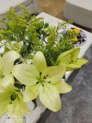 -HEYAN荷妍专业脱毛连锁机构