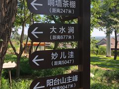 -阳台山自然风景区