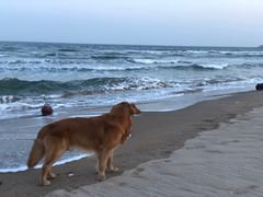 -南戴河旅游度假区