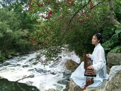 -白鹭湾湿地公园