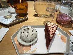 -tea'stone (万象天地店)