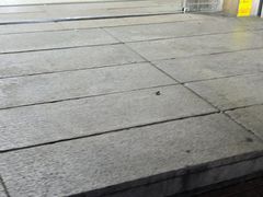 -大望路(地铁站)