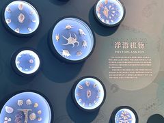-中国湿地博物馆