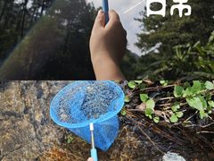 -福清灵石山国家森林公园